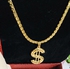 Gold Chain With $ Pendant