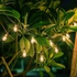Garden Bulbs Lights 240V 15 LED15 M Outdoor String Warm White Decoration Fairy