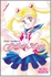 Sailor Moon 1 - Paperback 1