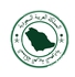 Saudi Stamp Enamel Pin