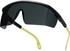 DELTAPLUS SAFETY SPECTACLES 