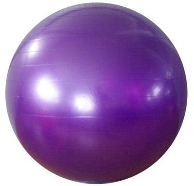 Anti-Burst Yoga Swiss Ball 55centimeter