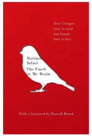 The Finch In My Brain: How I Forgot How To Read But Found How To Live Paperback