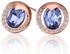 18k Rose Gold Plated Earrings with Austrian crystals