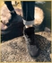 Mountaineering Shoes Black