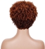 Fashion Idol Human Hair Wigs Short Afo Kinky Curl Brazilian Human Wigs