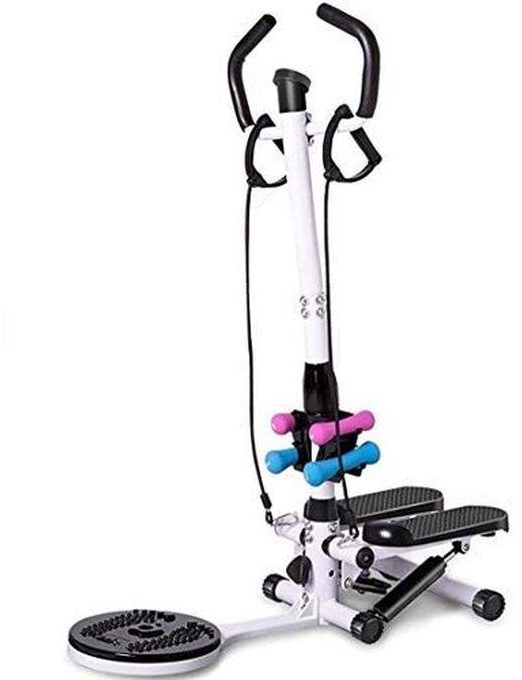 Standing Stepper With Twister, Toning Rope And Dumbbells