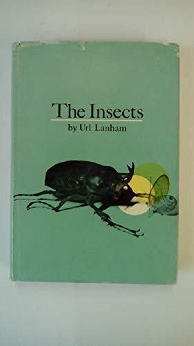 The Insects India