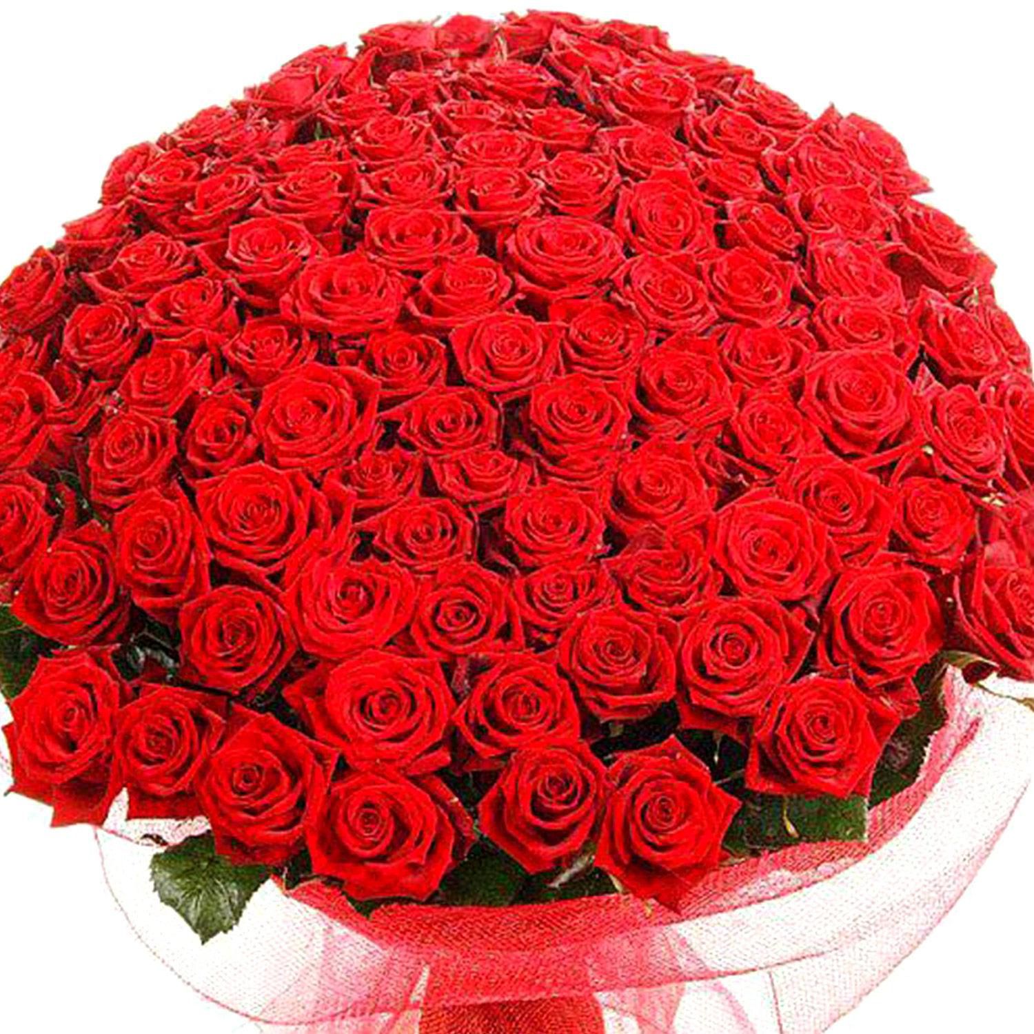 500 Red Rose Bouquet
