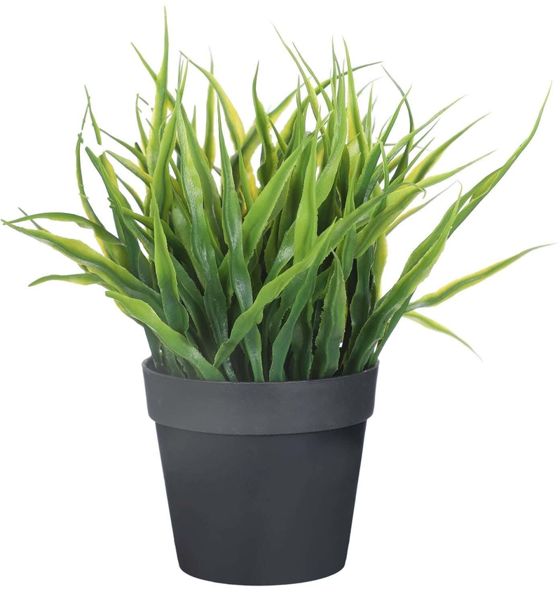 Get Round Plastic Vase, 8×7 cm - Black Green with best offers | Raneen.com