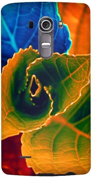 Stylizedd LG G4 Premium Slim Snap case cover Matte Finish - Bloomin Autumn Leaves