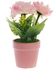 Variety Artificial Flower with Pot - Pink