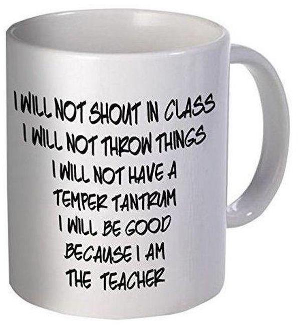 Funny Teacher Mug