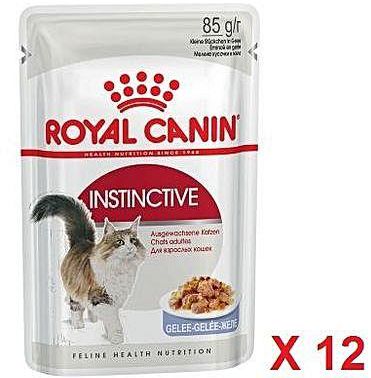 Royal Canin Wet Cat Food Adult Instinctive In Jelly - 85g - 12 Pcs