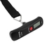 Allwin 50kg/10g LCD Digital Hanging Travel Suitcase Portable Weight Hook Scale-Black