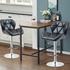 Bar Stools, Swivel Kitchen Dining Chair, Adjustable Bar Chairs Modern Barstools, Square Lounge Chair Island Chair, Counter Height Metal Chairs with Back for Home Kitchen Island (Black)