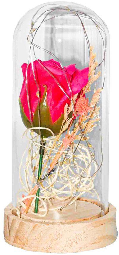 Rose Pink With Fairy String Lights In Dome For Christmas Valentine's Day Gift C72 - LED Light…
