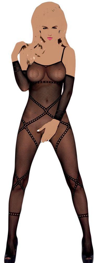 Chic Sleeved Open Crotch Sheer Bodystocking
