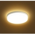LED Ceiling Light White