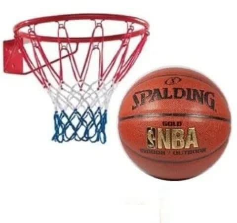 Wall Hanging Basketball Hoop Rim Net & Basketball