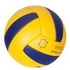 Dadico FIVB Leather Volley Ball Size 4