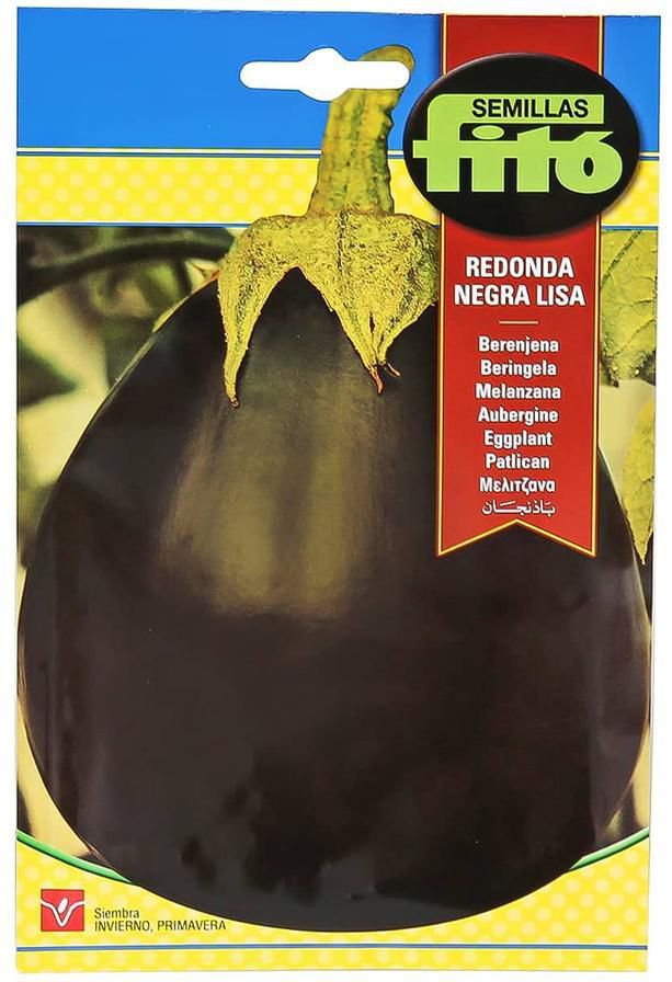 Fito Eggplant Redonda Negra Lisa (4 g)