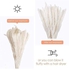 Fancy Natural Dried Flowers Original Pampas Grass -Tall Extra Fluffy- Faux Artificial Dried (20)