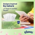 Kleenex Natural Collections Facial Tissue - Pack Of 5 Boxes, 170 Sheets X 2 Ply