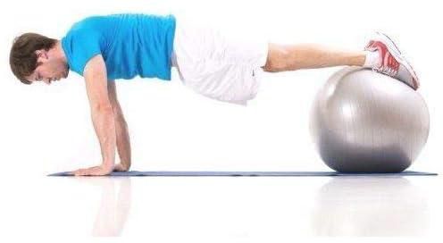 one year warranty_65cm Anti Burst Sports Gym Exercise Swiss Aerobic Body Fitness Yoga Ball - Silver11292