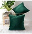 2-Piece Solid Pattern Decorative Pillow Velvet Aqua Green 65 x 65centimeter