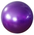 EXERCISE GYM YOGA SWISS 65cm BALL FITNESS AB ABDOMINAL SPORT WEIGHT LOSS PURPLE