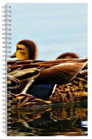 A5 Spiral Bound Printed Notebook Multicolour