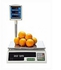 ACS 40kg Electronic Price Computing Weighing Scale with 1g Precision and Counting Feature