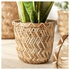 KLYNNON آنية نباتات, صناعة يدوية خيزران, 12 سم - IKEA