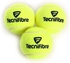 Tecnifibre Champion Tennis Ball - 3 Ball - Yellow