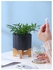 Large Round Ceramic Flower Pot For Indoor Outdoor With Wood Stand أسود/بني 14x17.8x12سم