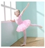 Girls Ballet Dress Tutu Slim Dance Leotards Dress Short Sleeve Dress (4-5 Years Old)