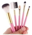 Borne Pink 5 Piece Makeup Brush Set with Sponge