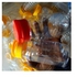 Empty Plastic Bottles For Honey/Oil With Flip Caps (230ml)