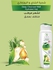 Liza Premium Purifying Shampoo - 350 ml Tea Tree oil & Rosemary