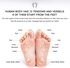 Generic Tidyard Ems Foot Massager Mat Electric Leg Foot Muscle Stimulator Pressure Pain Relief Relaxing Blood Circulation Pad