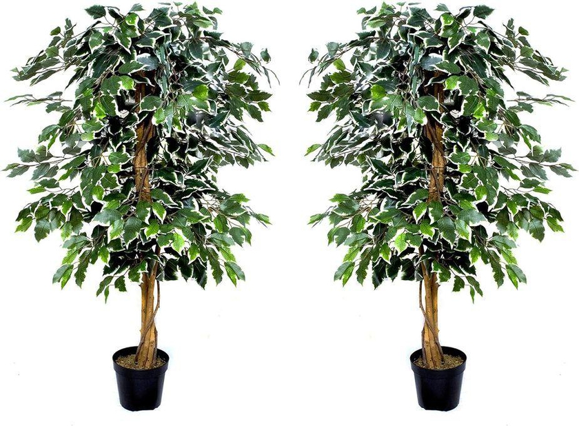 شجرة فيكس صناعية ممتازة ، نبات صناعي في اصيص 120 سم (مجموعة تضم 2)