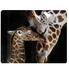 Loving Mother Giraffe And Baby Giraffe Mousepad