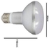 TTI R80 Light Bulb Set - 30 Watt - 5 Pieces