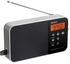 Icf-m780sl Portable Radio Fm/sw/mw/lw Led Display