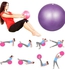 2 pcs Soft Pilates Balls 25CM Exercise Balance Ball Gym Fitness Perfect for Yoga Core Training and Physical Therapy Pink Purple
