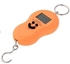 Digital Hanging Portable Electronic Scale Orange