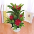 Generic Artificial Fake Lotus Flower Potted Plant Bonsai Wedding-Red