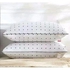 Generic Set Of 2 Bed Pillow (Pair- Pure Fibre Filled).