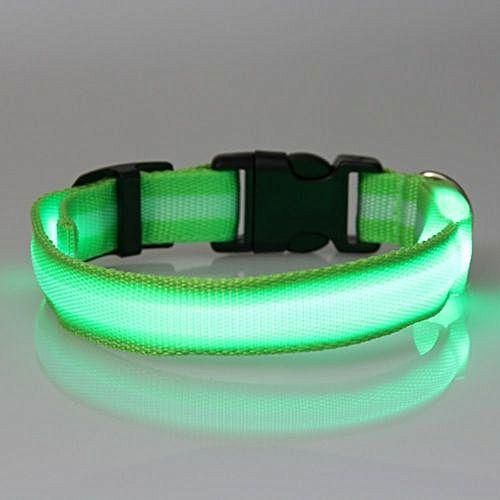 Generic Dog Safety Collar, LED, Flashing And Solid, Nylon - Free Extra Batteries - Large And Small Dogs - FREE SHIPPING (Green, Medium)